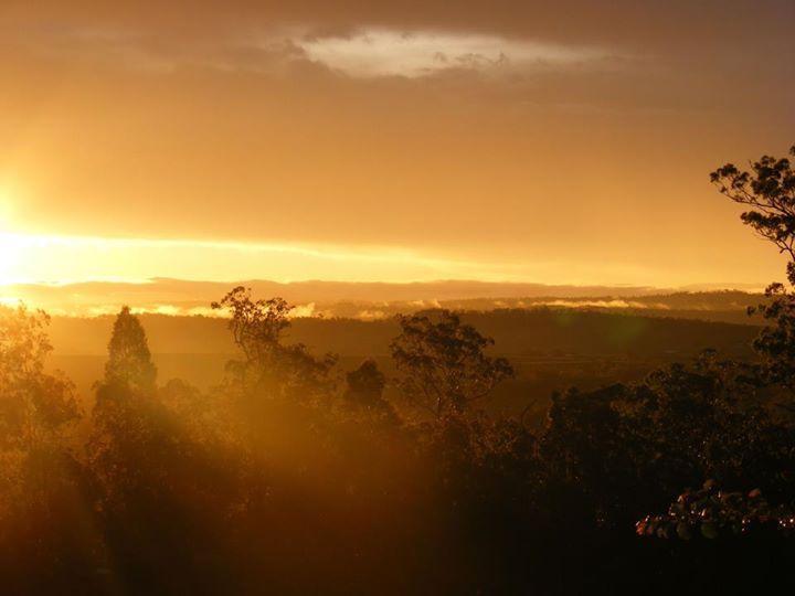 Wallaby Ridge Retreat Mount Tamborine Exterior foto